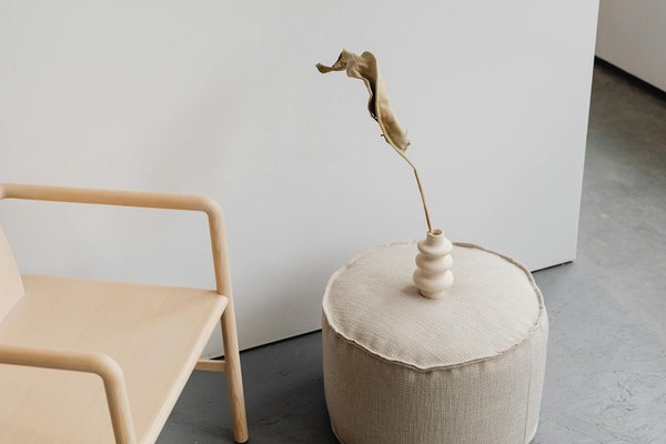 Secrets to thriving lavender in the uk: expert tips for successful growth and harvesting